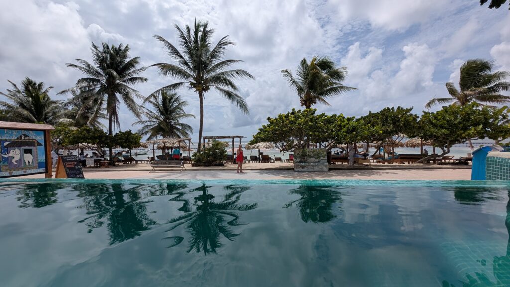 A turquoise plunge pool in the foreground reflecting tall palm trees against a cloudy sky at the Nacional Beach Club in Costa Maya, Mexico.