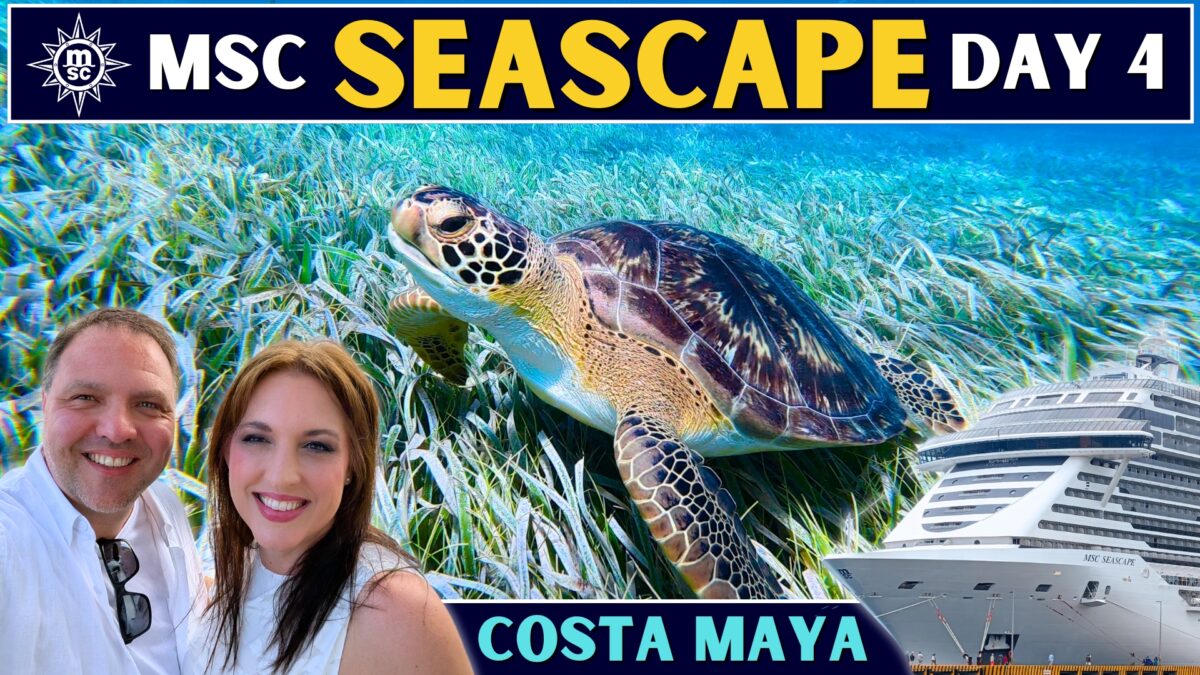 MSC Seascape Caribbean Cruise: Costa Maya Snorkeling, Turtles & White Night - Day 4 Vlog
