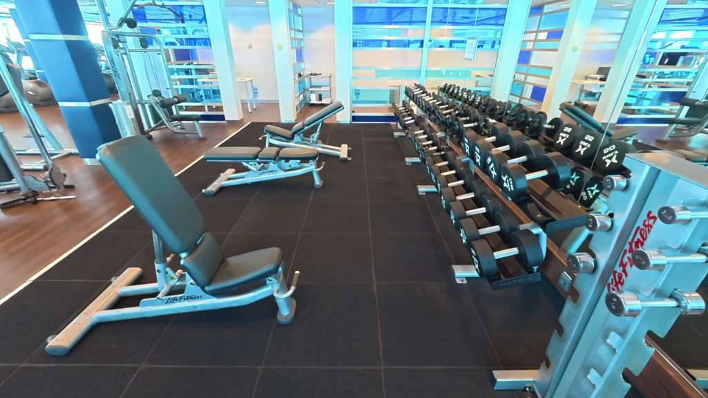 Celebrity Solstice fitness center featuring free weights, workout benches, and strength training equipment on Deck 12.