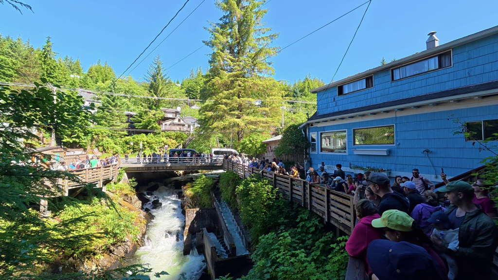 Ketchikan salmon ladder with visitors watching salmon in the creek near Married Man’s Trail.