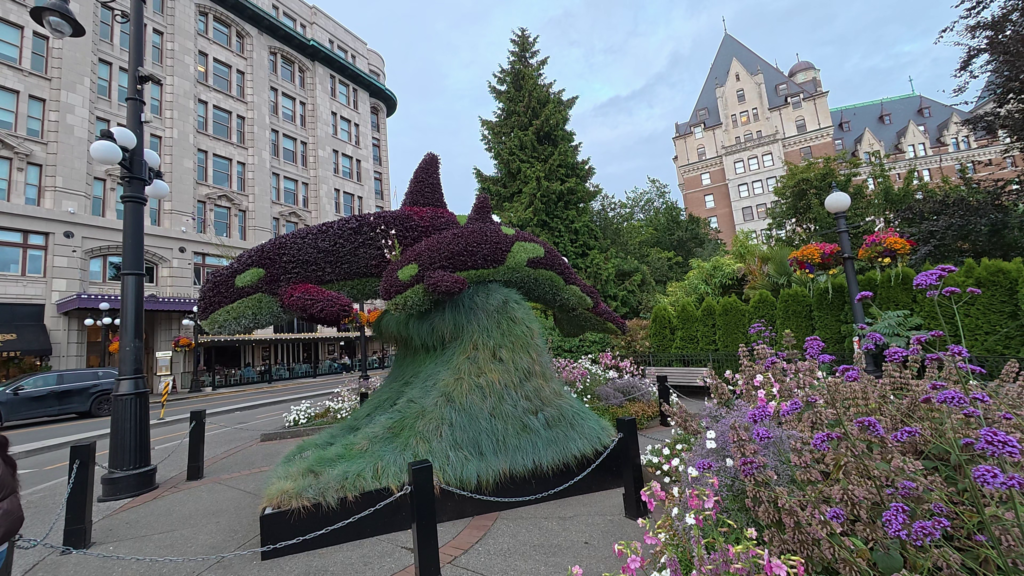 Orca-shaped plant sculptures surrounded by colourful flowers and gardens near the Fairmont Empress Hotel in downtown Victoria, BC.